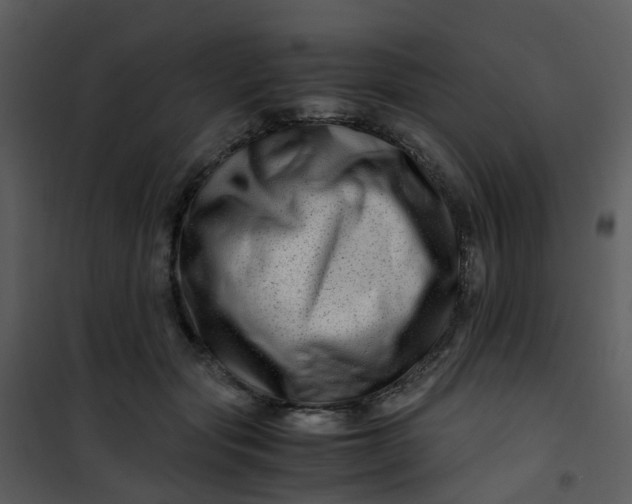 X0000101170557200807181426