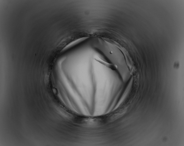 X0000101170558200807181426