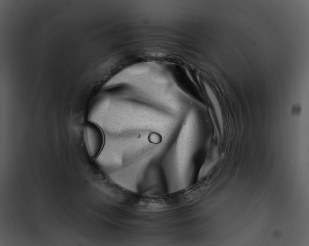 X0000101170559200807181426