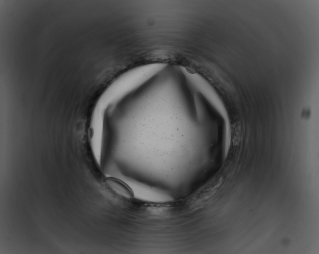 X0000101170560200807181426