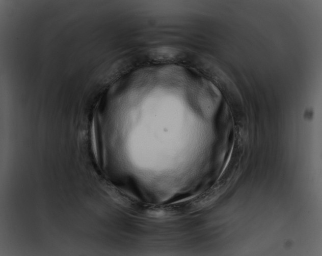 X0000101170561200807181426