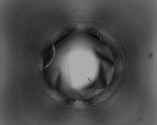 X0000101170562200807181426