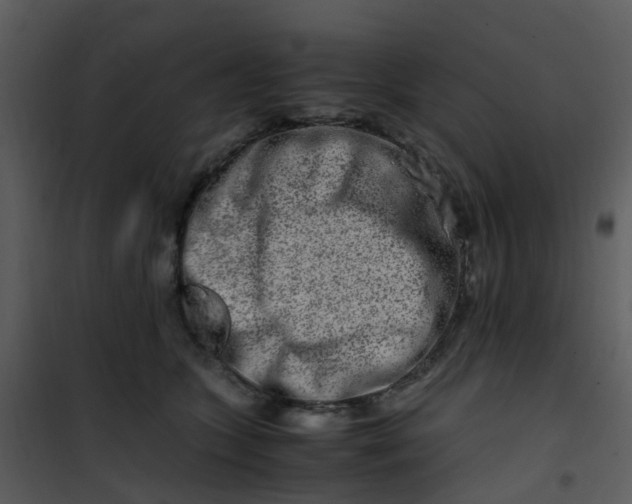 X0000101170563200807181426