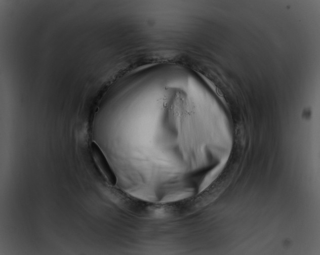 X0000101170564200807181426
