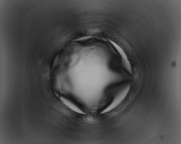 X0000101170565200807181426