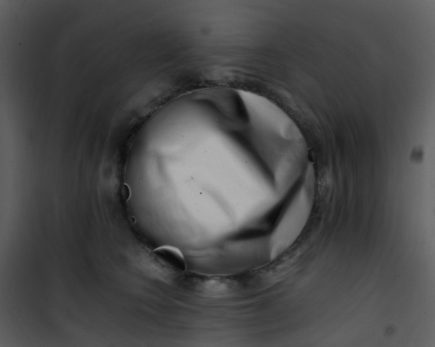 X0000101170566200807181426