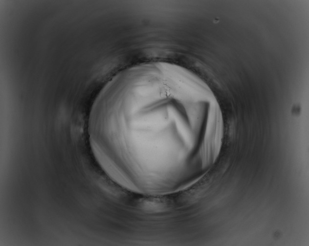 X0000101170567200807181426