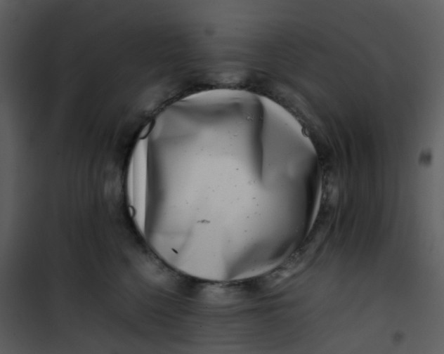X0000101170568200807181426