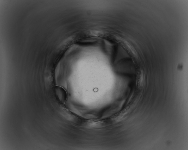 X0000101170569200807181426