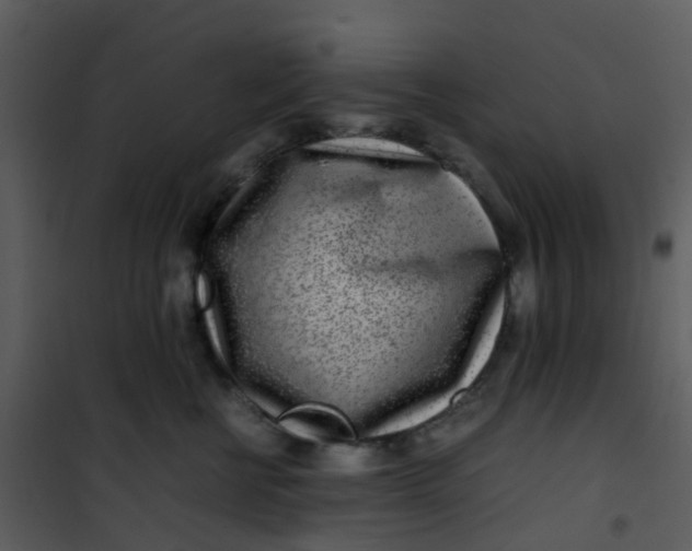 X0000101170570200807181426