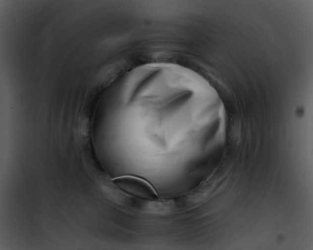 X0000101170571200807181426