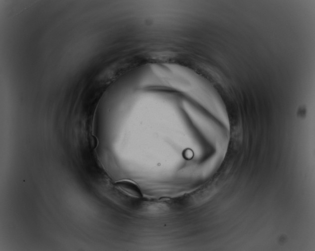 X0000101170572200807181426