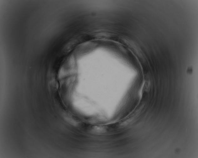 X0000101170573200807181426
