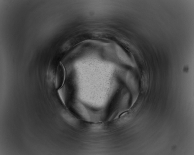 X0000101170574200807181426