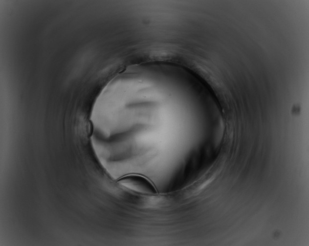 X0000101170575200807181426