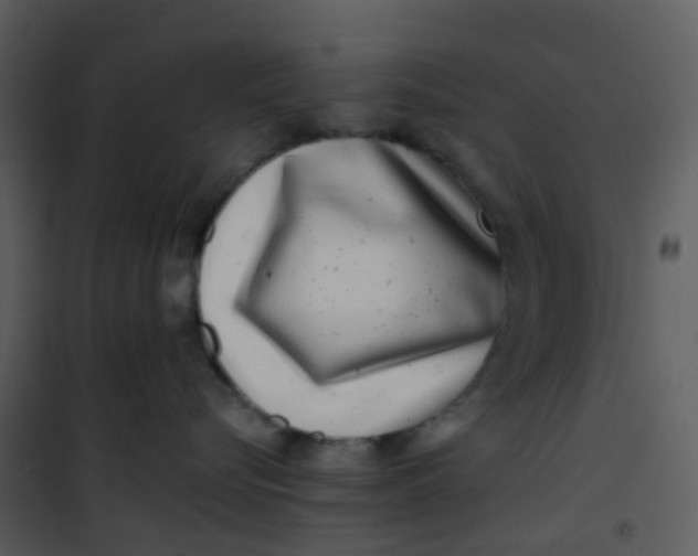 X0000101170576200807181426