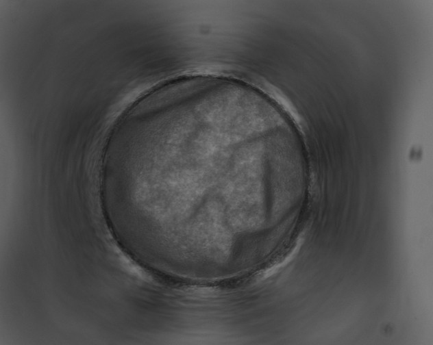 X0000101170577200807181425
