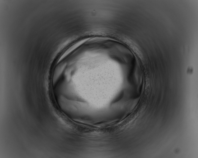 X0000101170578200807181425