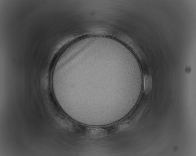 X0000101170579200807181425