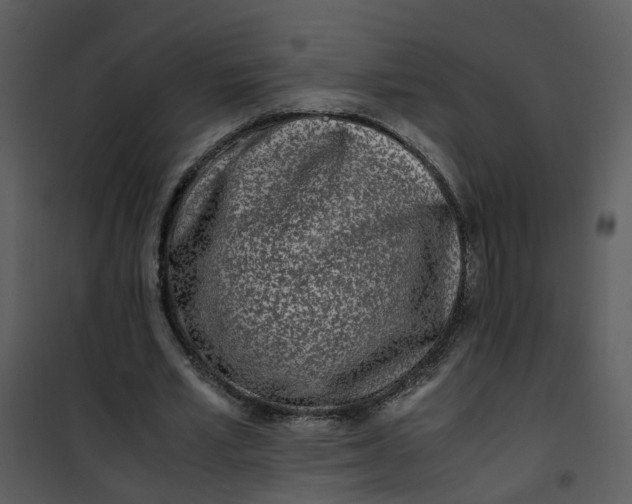 X0000101170581200807181425