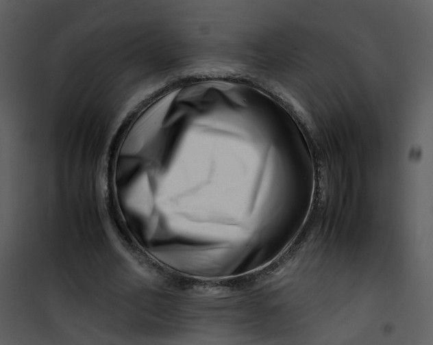 X0000101170582200807181425
