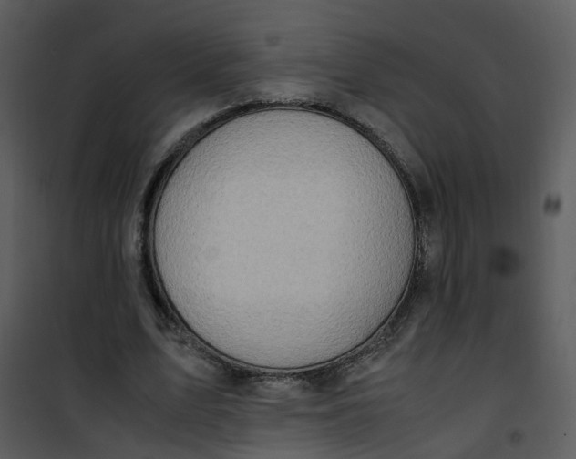 X0000101170583200807181425