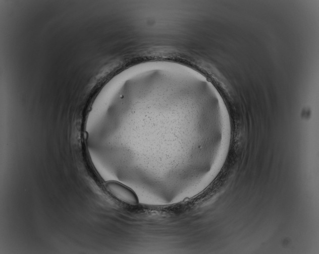 X0000101170585200807181425