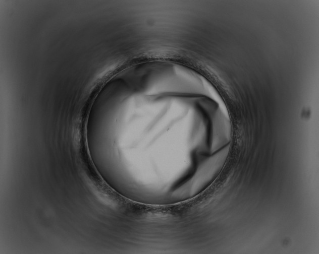 X0000101170586200807181425