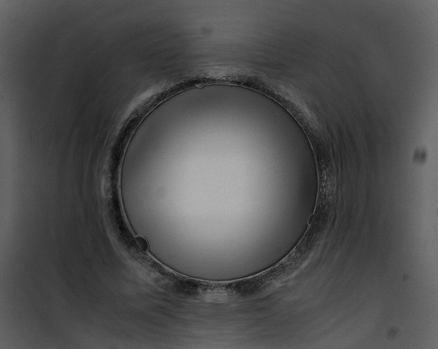 X0000101170587200807181425