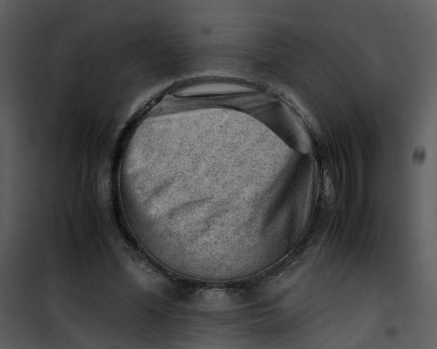 X0000101170588200807181425