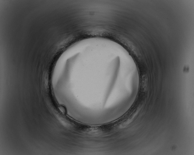 X0000101170589200807181425