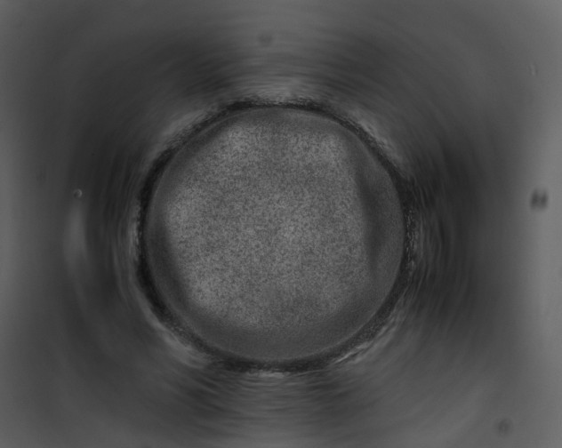 X0000101170590200807181425