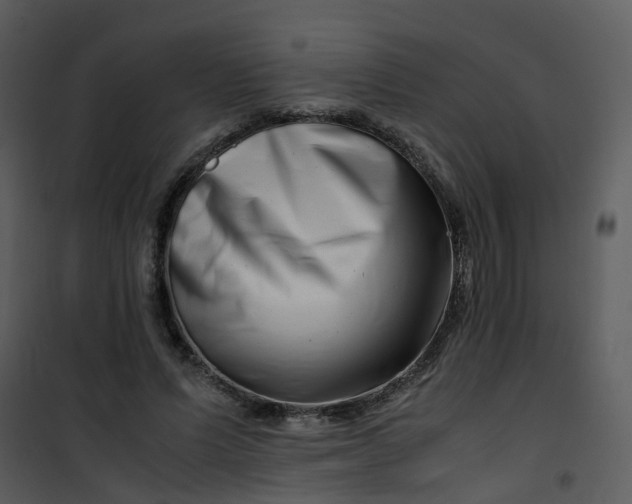 X0000101170591200807181425