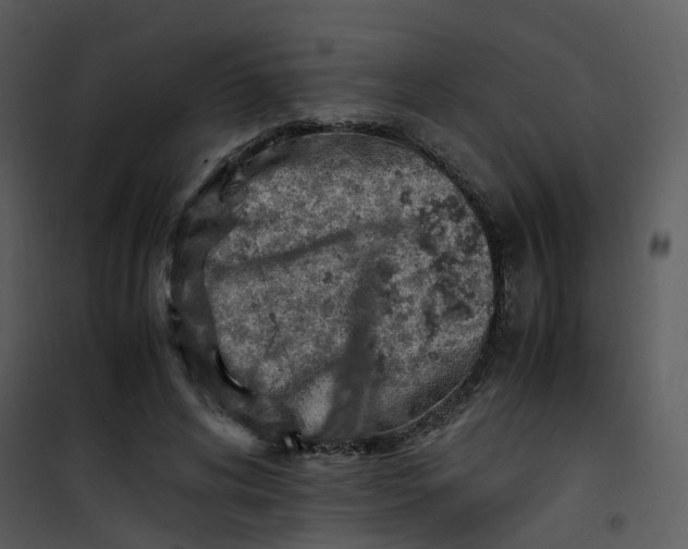 X0000101170592200807181425
