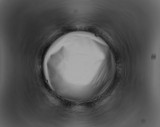 X0000101170593200807181425