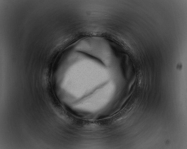 X0000101170594200807181425