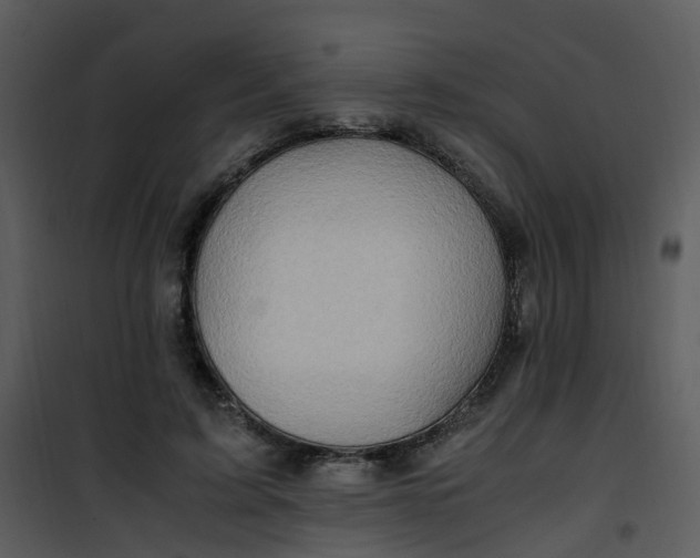 X0000101170595200807181425