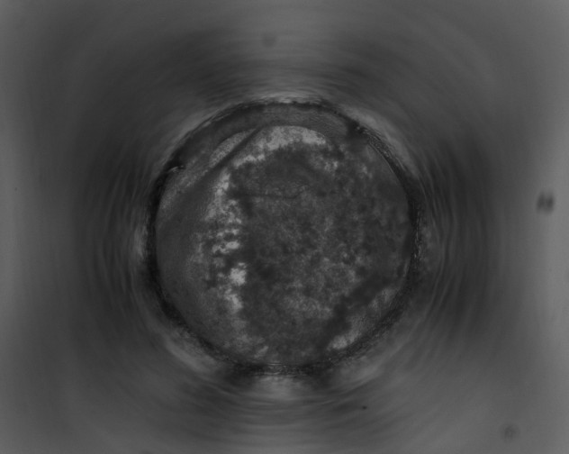 X0000101170596200807181425