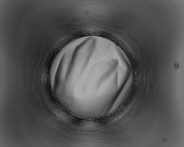 X0000101170597200807181425
