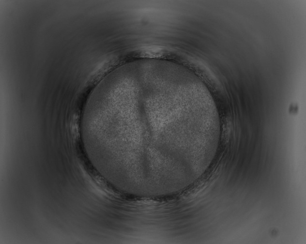 X0000101170598200807181425