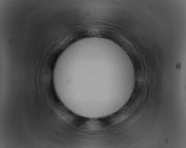X0000101170603200807181425
