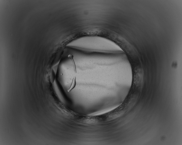 X0000101170604200807181425
