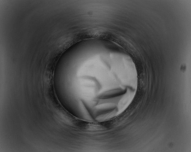 X0000101170605200807181425