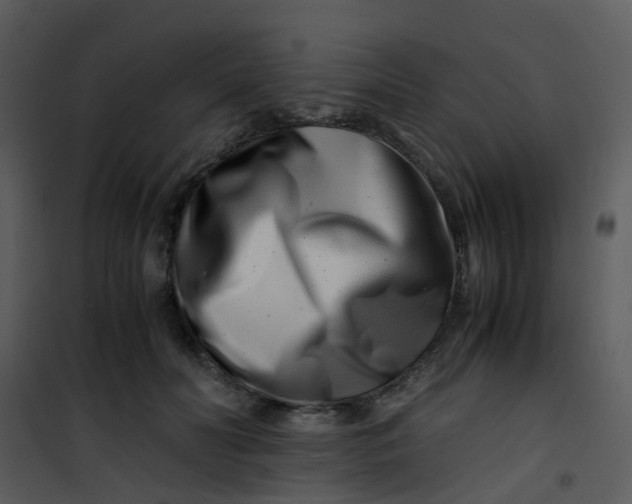 X0000101170606200807181425