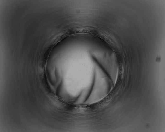 X0000101170607200807181425