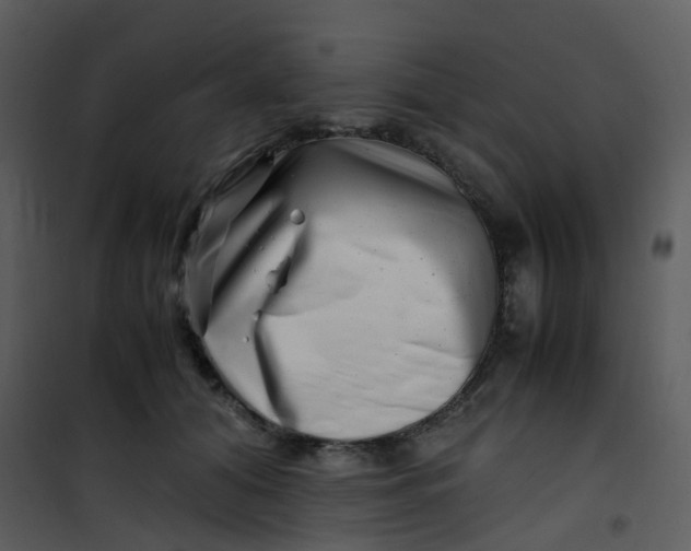 X0000101170608200807181425