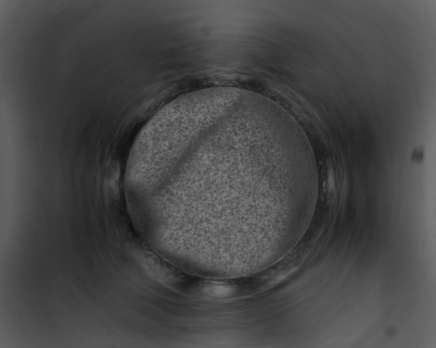 X0000101170610200807181425