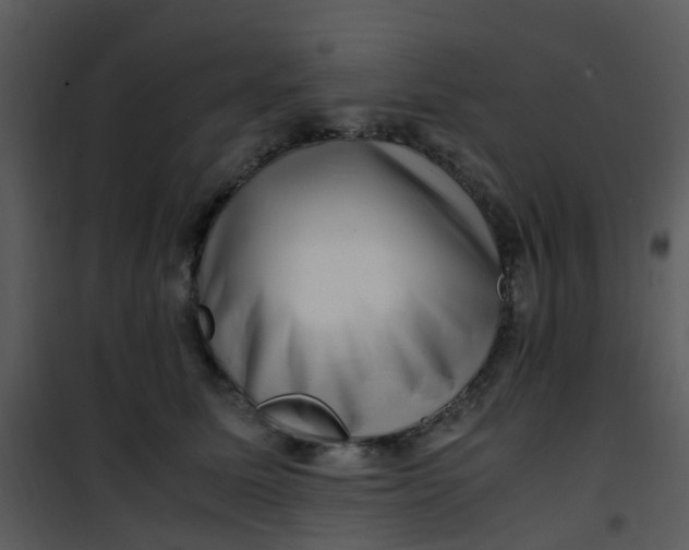 X0000101170611200807181425