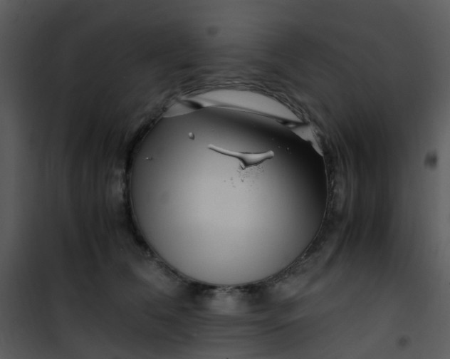 X0000101170612200807181425