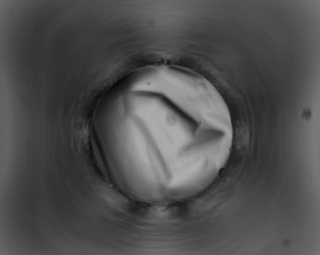 X0000101170613200807181425